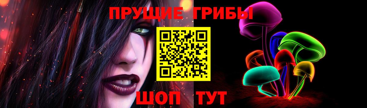 Псилоцибиновые грибы Magic Shrooms  Вход с VPN  Новодвинск 