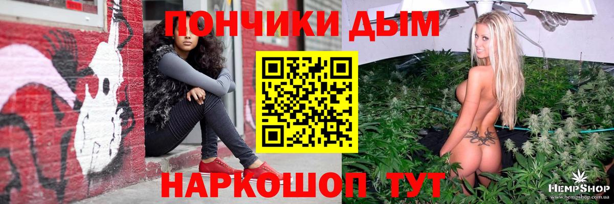 Бошки марихуана марихуана Новодвинск
